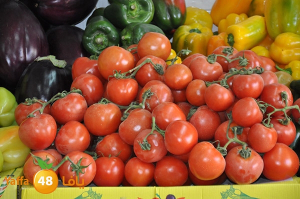 markaz khodare 3 (12).JPG